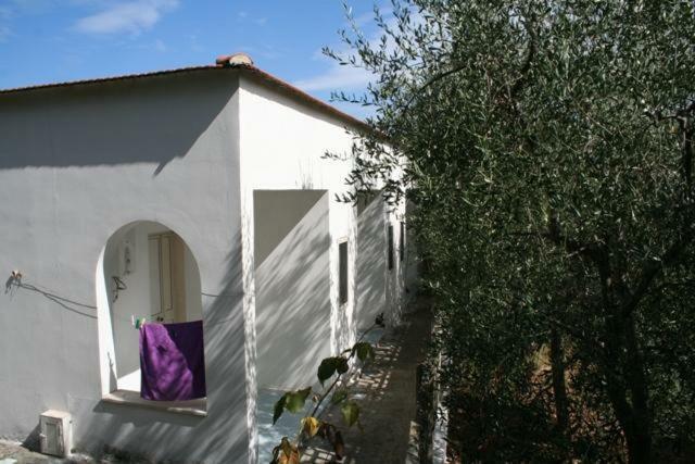 Casa Vacanze Pizzone Apartment Peschici Bagian luar foto